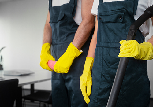 Professional cleaning staff